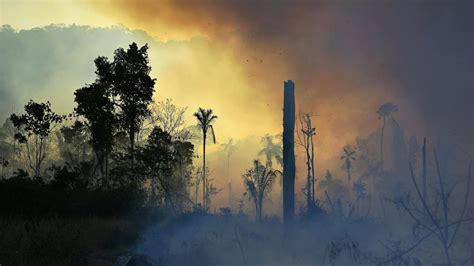 Visualiza O Mostra O Efeito Dram Tico Da Mudan A Clim Tica Agora E No