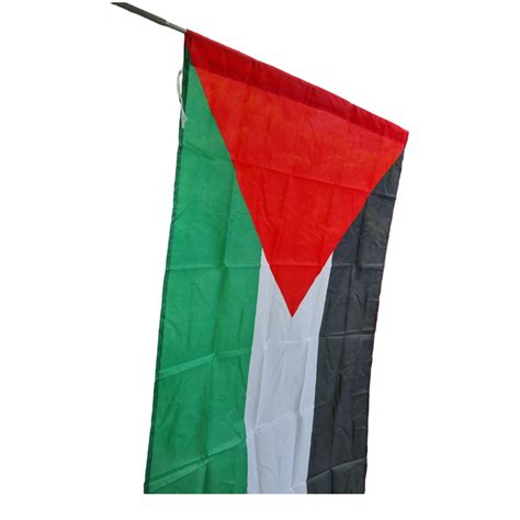 Palestine Flag – Preserved Identity