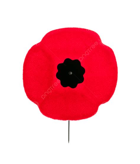 Remembrance Day Poppy Poppy, Poppies, One, Flower PNG Transparent Image ...