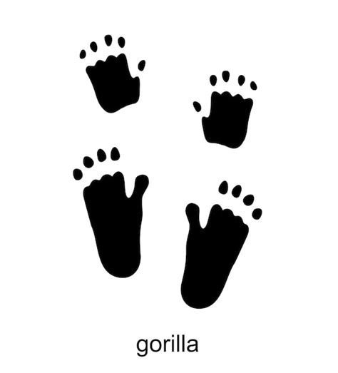 Gorilla Spur Gorilla Fußabdruck Tinte Silhouette Vektor Illustration