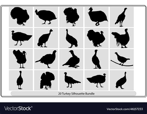 Turkey silhouette silhouettes Royalty Free Vector Image