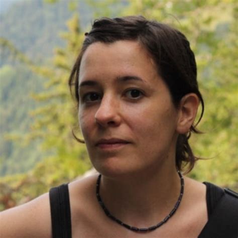 marie willemet research associate  cardiovascular modelling phd