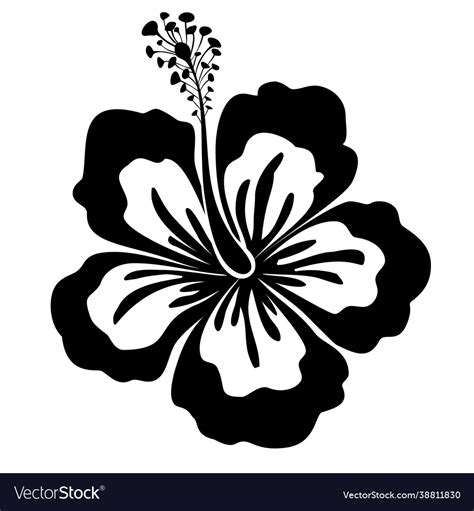 Black White Hibiscus Flower Exotic Design Vector Image