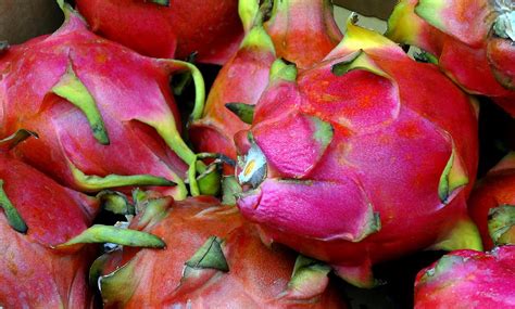 Pretty Ugly Fruit Photograph By Deborah Crew Johnson