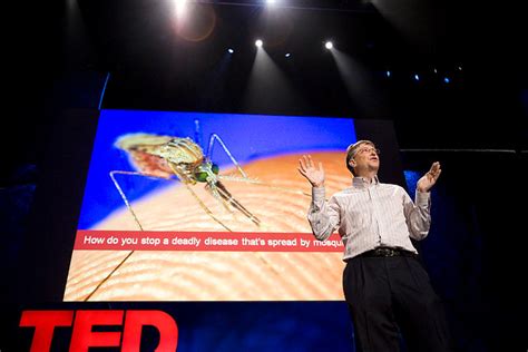 Bill Gates Once Released A Swarm Of Mosquitoes On A Crowd To Make A Point About Malaria