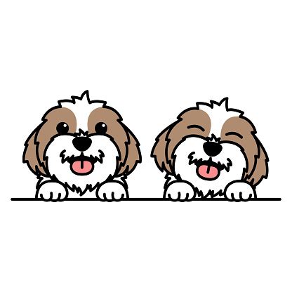 Kartun Anjing Shih Tzu Lucu Ilustrasi Vektor Ilustrasi Stok - Unduh Gambar Sekarang - Shih tzu ...