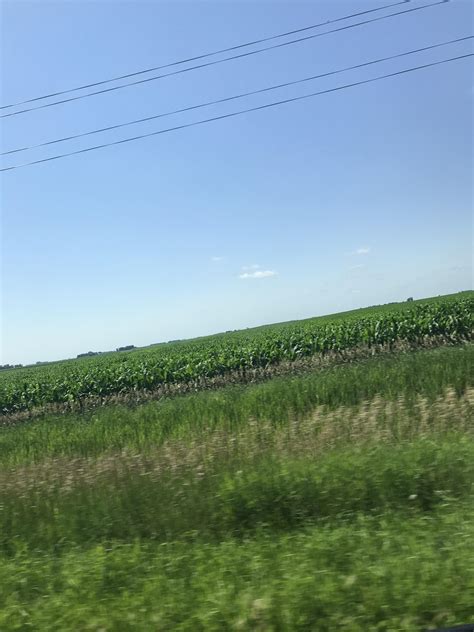 Roadtrip in Iowa... Cornfields for miles... : r/Iowa