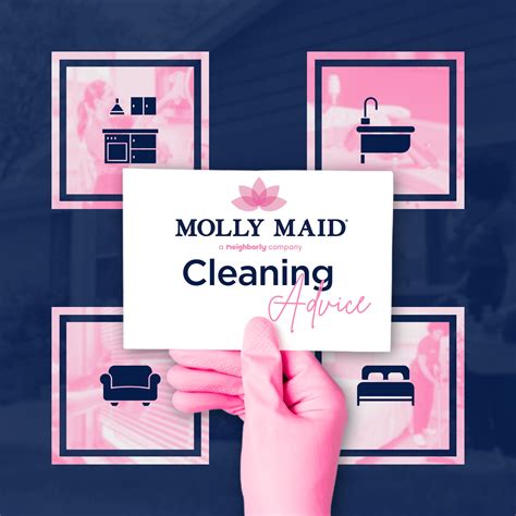 MOLLY MAID of The Midlands and Columbia | Columbia SC