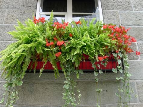 Fleurs Dautomne Balcon Id Es Pour Pots Et Jardini Res