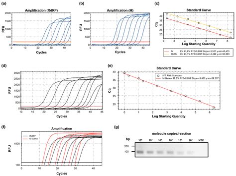 IJMS Free Full Text Optimized QRT PCR Approach For The Detection Of