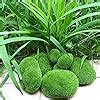 Woohome Pcs Size Artificial Moss Rocks Decorative Green Moss