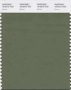 PANTONE Smart 18 0316X Farbmusterkarte Olivine Amazon De Baumarkt