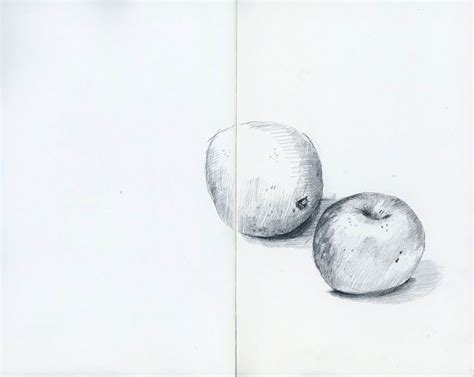 Like apples and oranges | Shari Blaukopf's Sketchbook