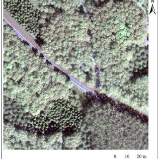 The test image used for the accuracy assessment. | Download Scientific ... 