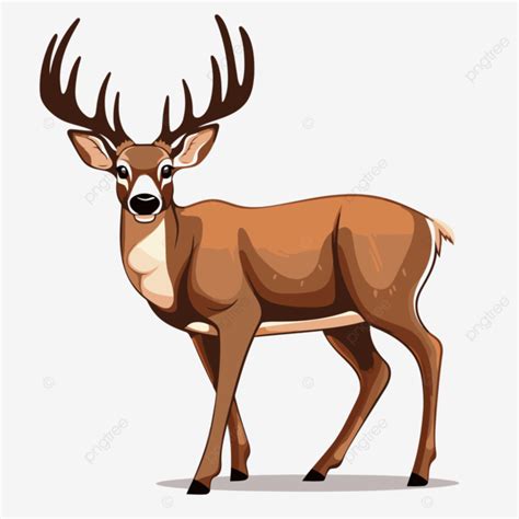 Whitetail Buck Vector Sticker Clipart Cartoon Deer Stands On A White