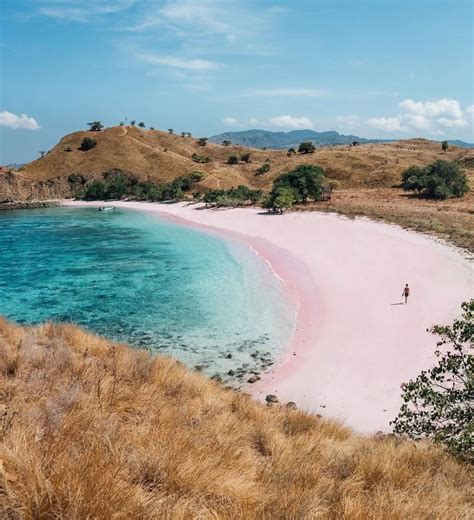 Pesona Alam Pink Beach Lombok Terungkapnya Lima Spot Wisata Yang Mengagumkan Di Pulau Seribu