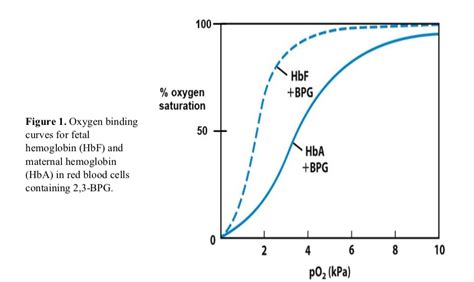 Solved Hbf Bpg Oxygen Saturation Figure Chegg