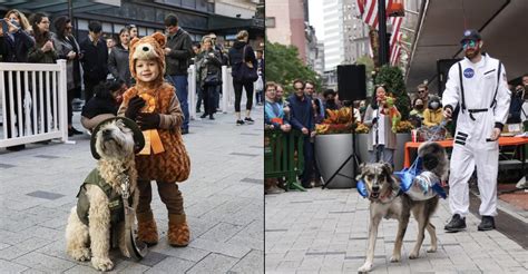 Doggone Halloween Dog Parade [10/29/22]