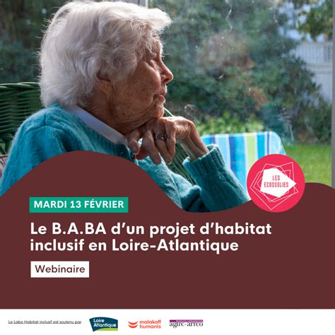 Webinaire Le B A BA Dun Projet Dhabitat Inclusif En Loire