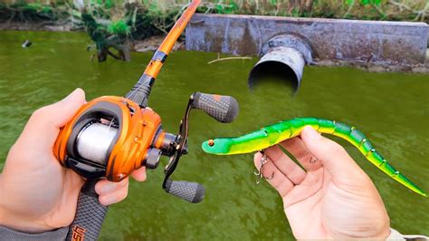 Fishing A Snake Lure For Pond Monsters Youtube