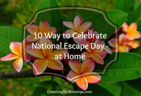 10 Ways to Celebrate National Escape Day - at Home - Counting My Blessings