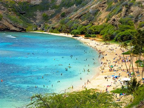 Snorkelling in a Volcanic Crater at Hanauma Bay - Explore Shaw