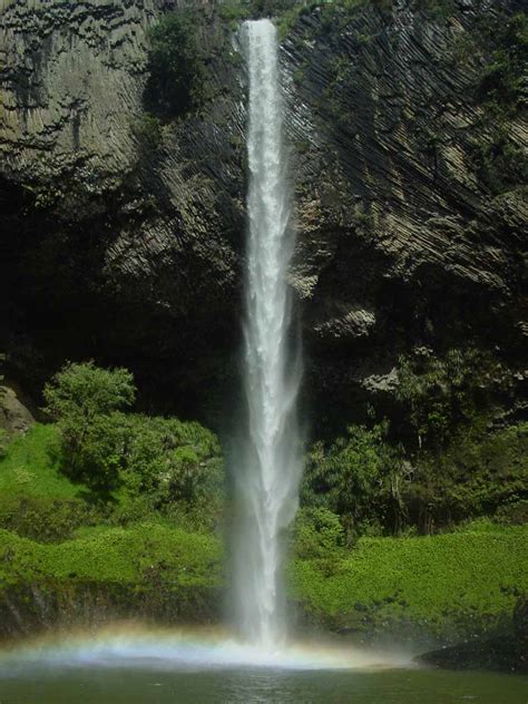 Bridal Veil Falls Wairenga Leaping Waterfall Near Raglan