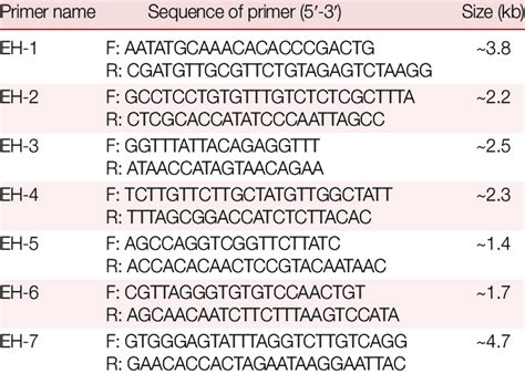 Sequences of primers used to amplify PCR fragments of mitochondrial ... 
