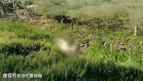 江苏无锡一河沟发现全身赤裸女尸，警方介入调查截图