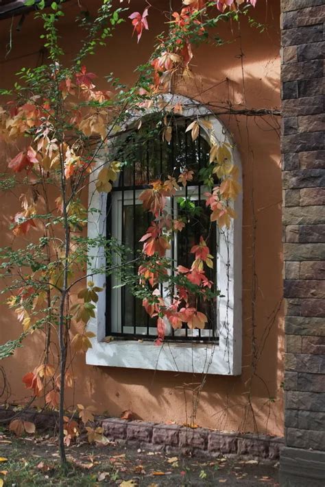 Free Stories Porn Photo Galleries Xhamster