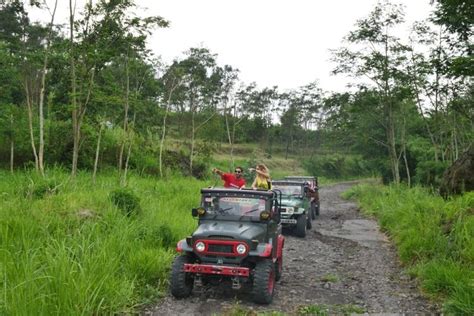 Desa Wisata Pentingsari Jogja Lokasi Harga Tiket Jam Buka Daya