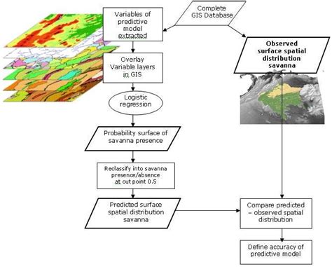 Flow Chart Showing The Process Of Spatial Implementation Of The Download Scientific Diagram