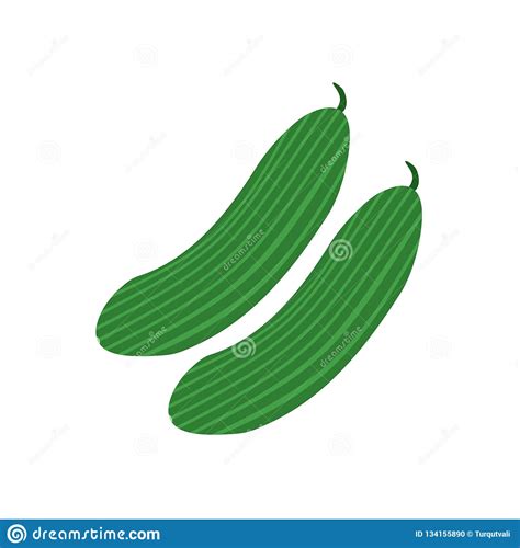 Cucumber Icon Vector Sign And Symbol Isolated On White Background