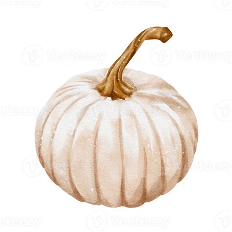 Autumn Pumpkins Watercolor 32498908 PNG