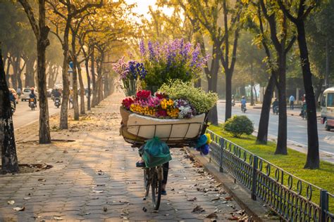 Experience the Poetry of Autumn in Hanoi | Vietnam Tourism