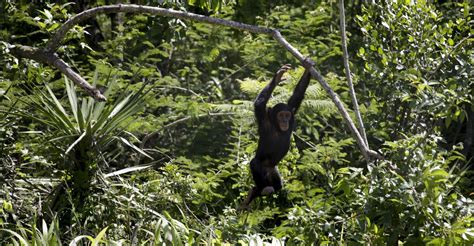 Problem My Neighbor Is Having Shockingly Loud Sex All The Time The