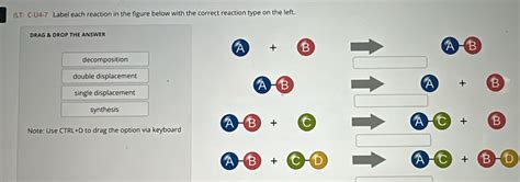 Solved Lt C U4 7 Label Each Reaction In The Figure Below With The