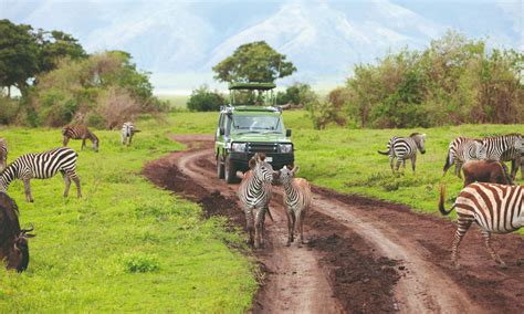 Séjour Tanzanie Grande Migration Du Serengeti Et Du Ngorongoro