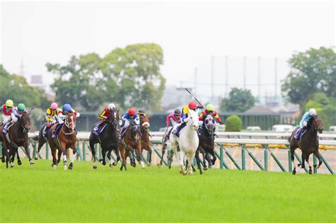 純白の女王、ソダシ。彼女を愛し追いかけた、その幸せな時間を振り返る ウマフリ 競馬コラム＆ニュース