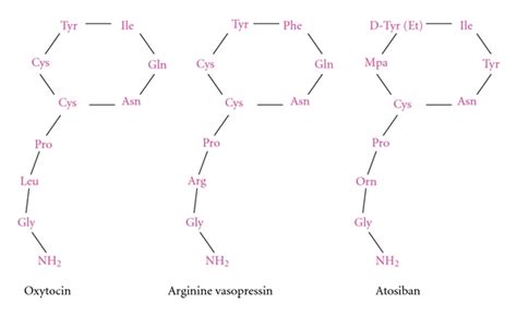 The structure of oxytocin, arginine vasopressin, and atosiban. | Download Scientific Diagram