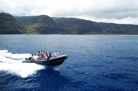 Kauai Whale Watching