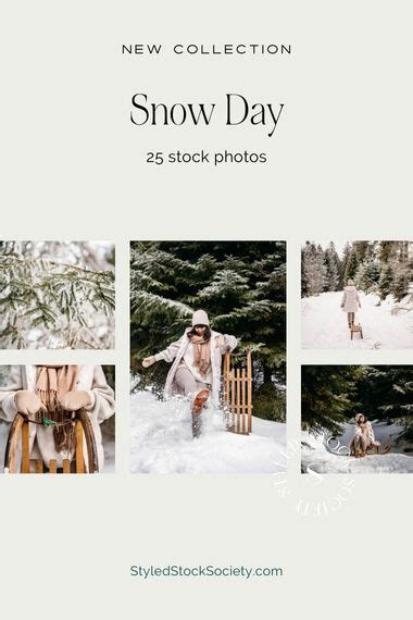 Snow Day Stock Photography | Styled Stock Society