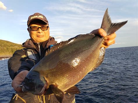 磯釣りシーズン開幕！地磯釣果 | 三宅島 民宿夕景