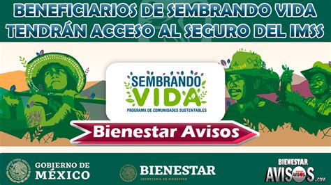 Eres Beneficiario Del Programa Sembrando Vida Accede Al Seguro Del