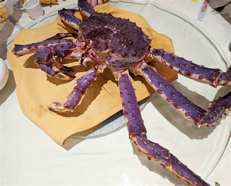 Wu's Wonton King, New York | Reviews, Photos, Address, Phone Number