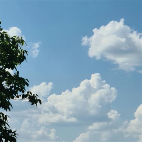 Premium Photo | A tree and clouds in the sky