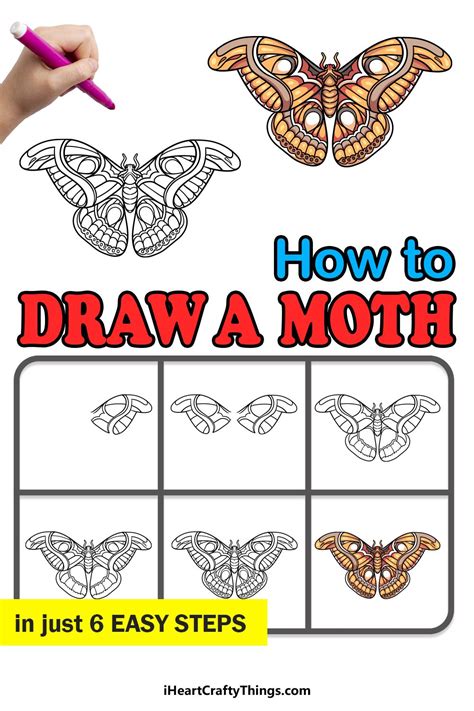 Moth Drawing, Line Drawing, Painting & Drawing, Cute Easy Drawings, 3d ...