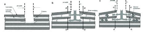 Mechanism Of Delamination A Fracture Initiation B Water Wedging