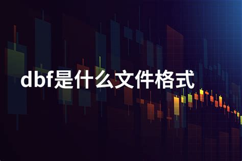 Dbf是什么文件格式 选型指导 万商云集