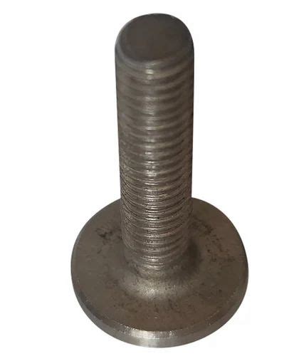 Stainless Steel Bolt Glass Cap, Size: 25X25mm at Rs 6/piece in Rajkot ...